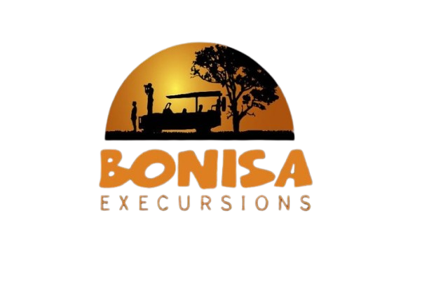 Bonisa Logo
